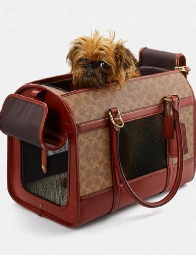 coach signature canvas dog carrier